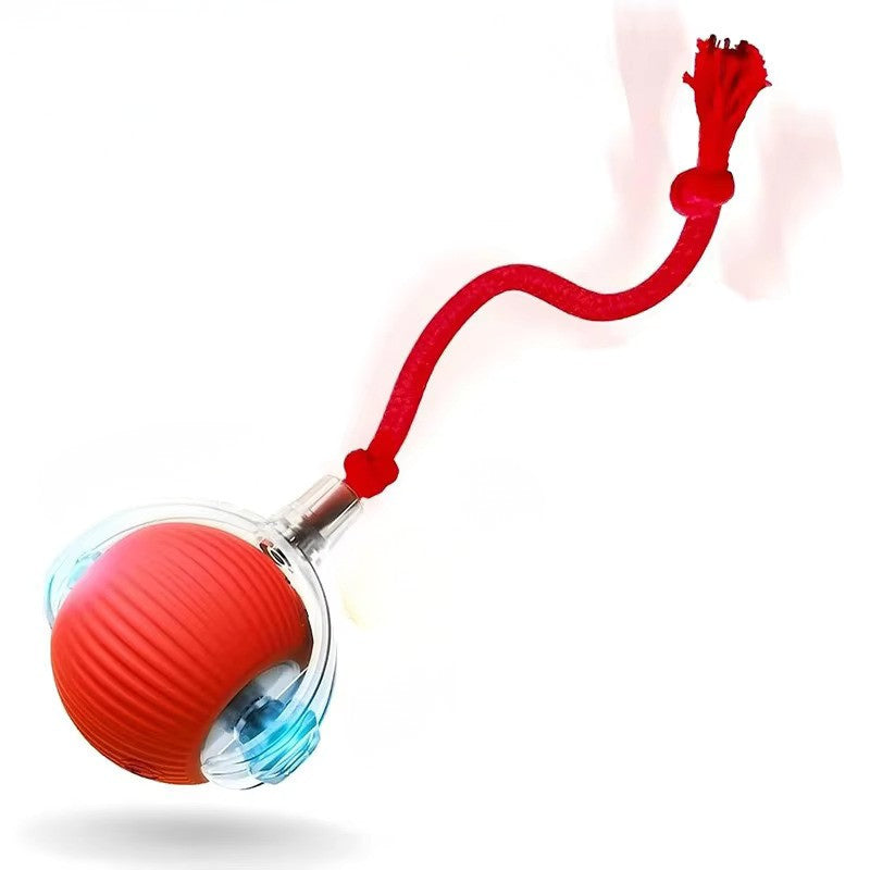 Interactive Rolling Dog Ball