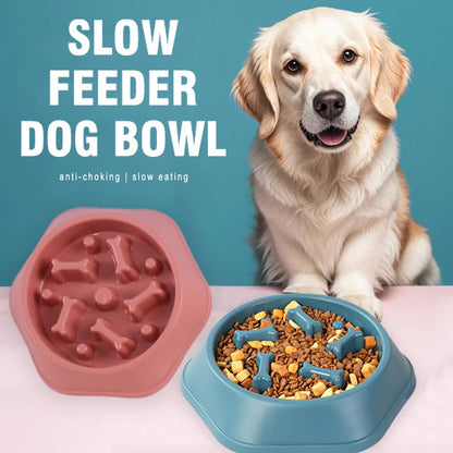 Slow Feeder Puzzle Bowl