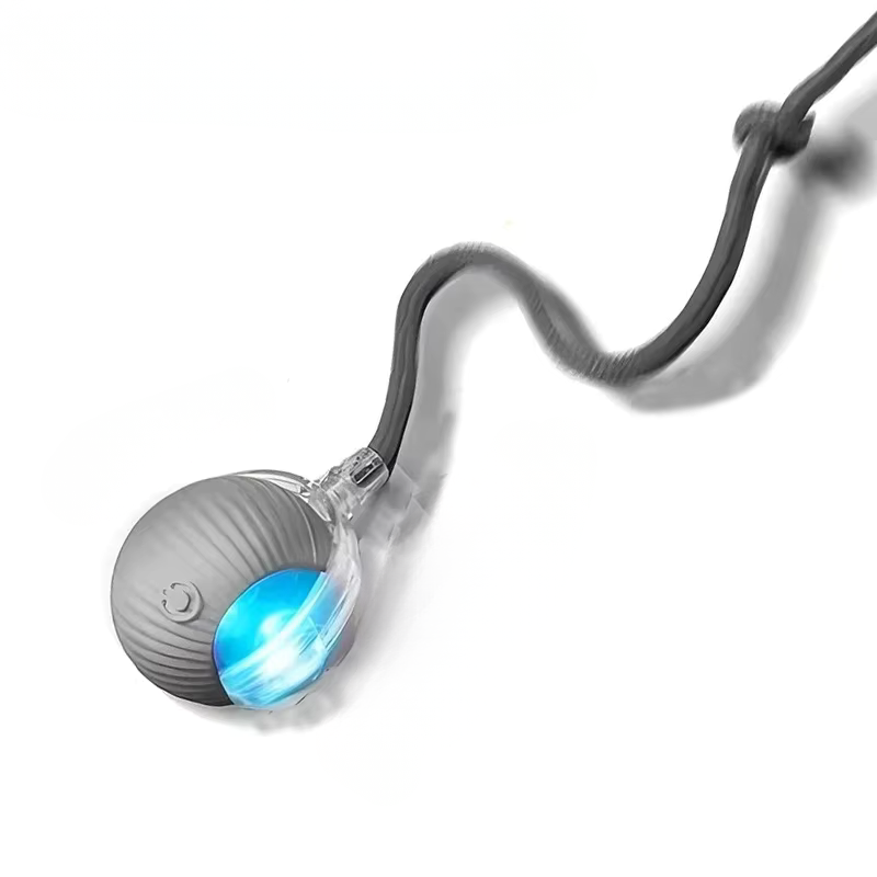 Interactive Rolling Dog Ball