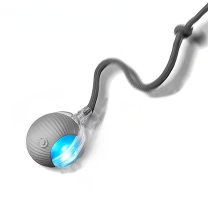 Interactive Rolling Dog Ball